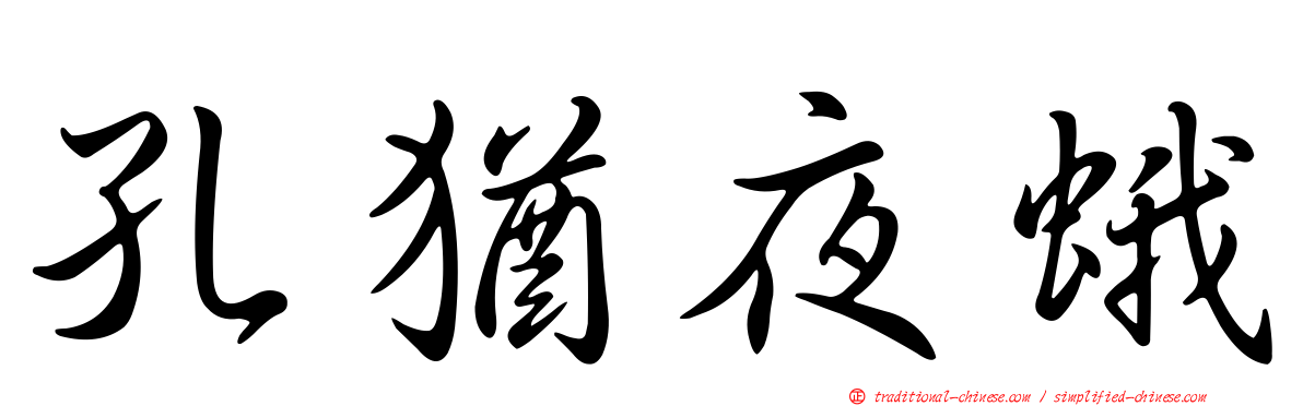 孔猶夜蛾