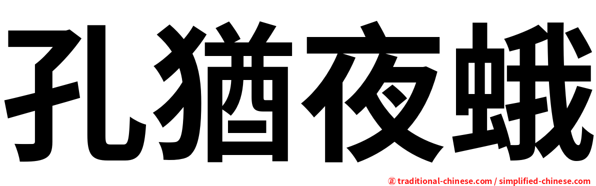 孔猶夜蛾
