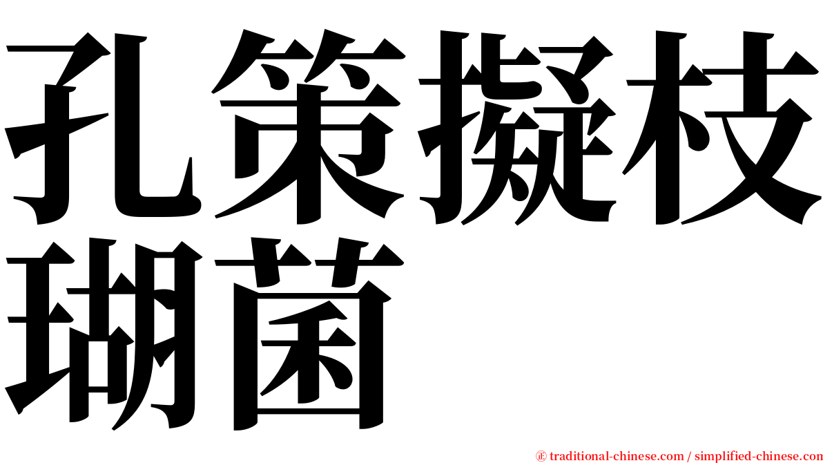 孔策擬枝瑚菌 serif font