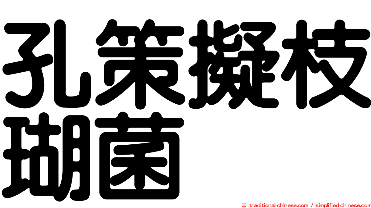 孔策擬枝瑚菌