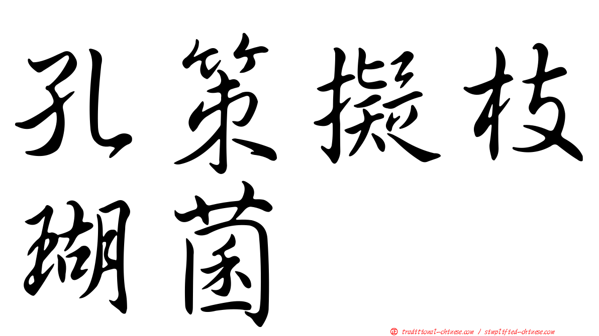 孔策擬枝瑚菌
