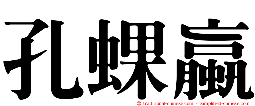 孔蜾蠃