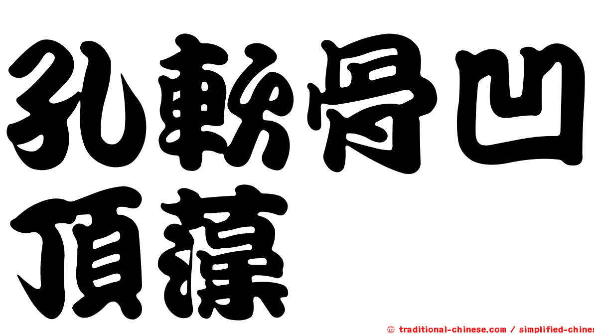 孔軟骨凹頂藻