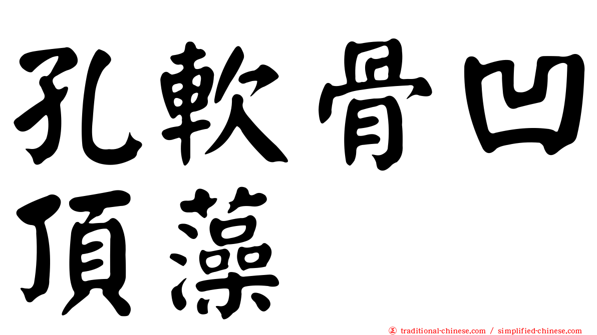 孔軟骨凹頂藻