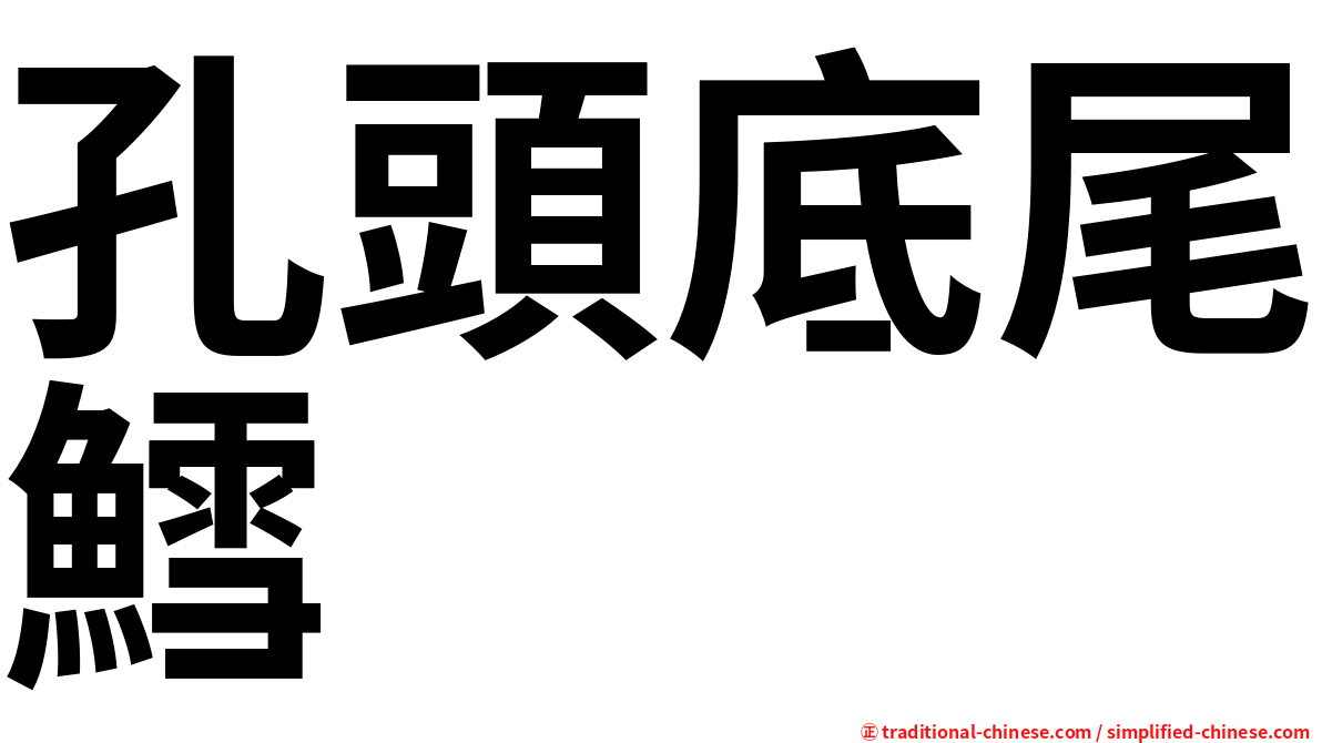 孔頭底尾鱈