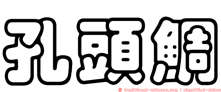 孔頭鯛