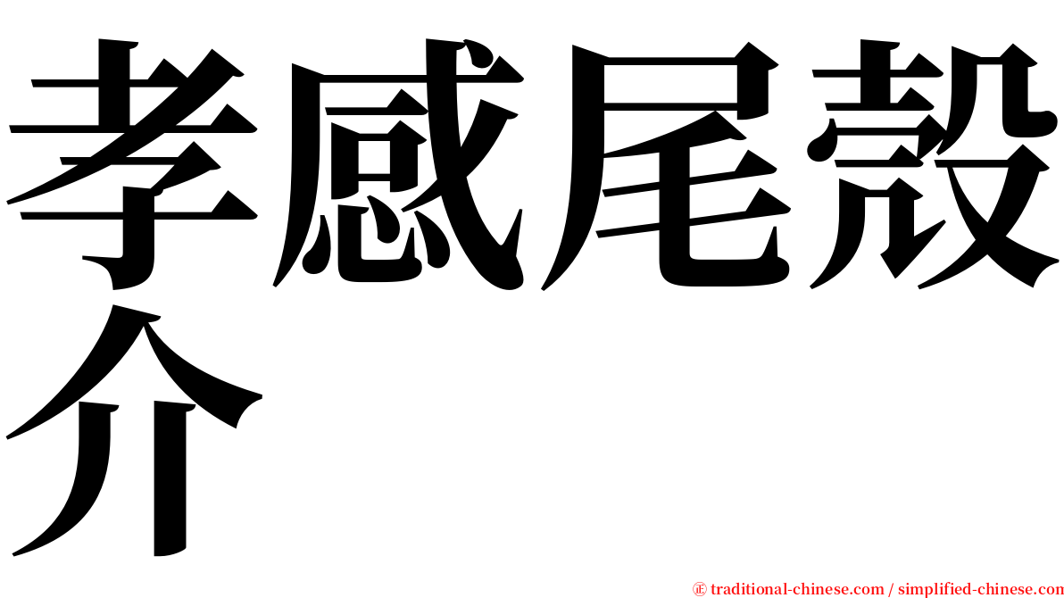孝感尾殼介 serif font