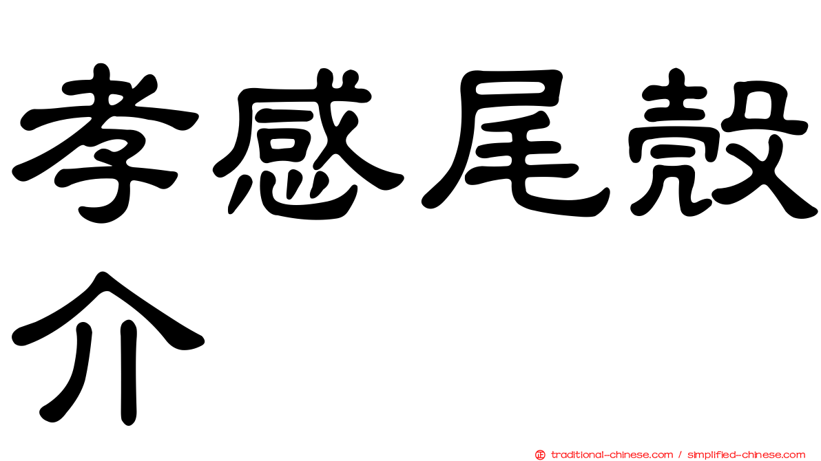 孝感尾殼介