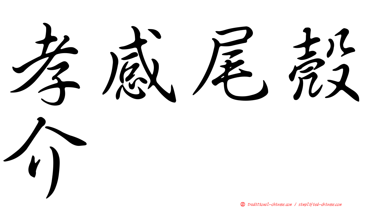 孝感尾殼介