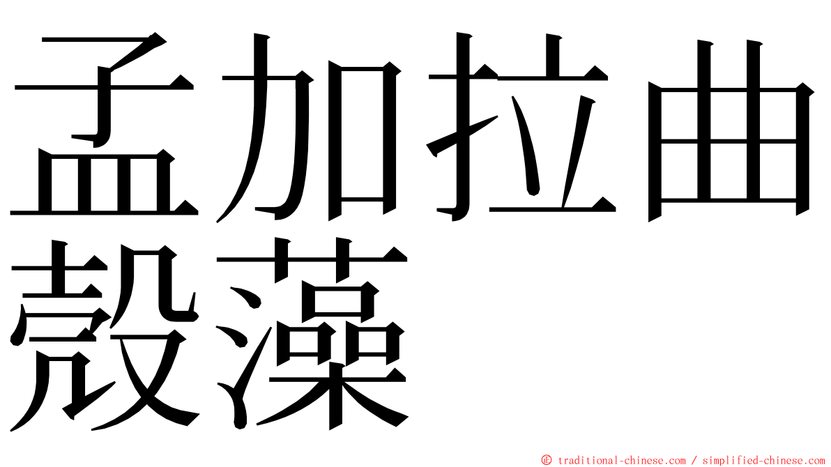 孟加拉曲殼藻 ming font