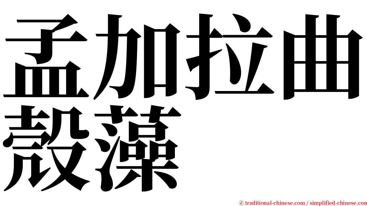 孟加拉曲殼藻 serif font