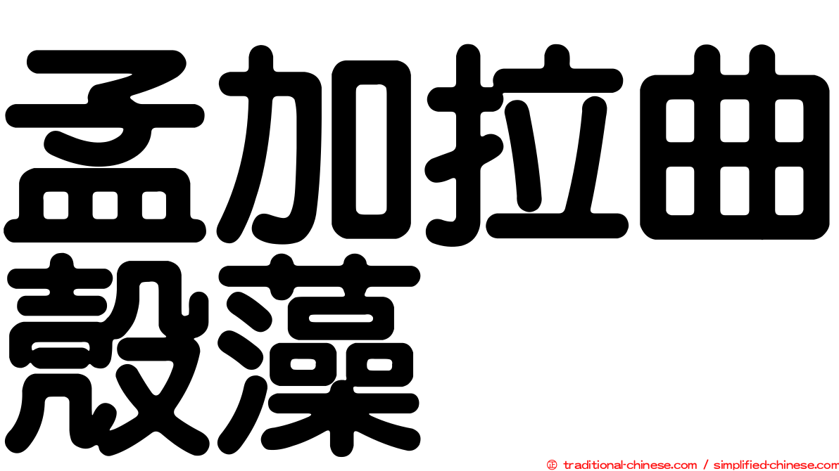 孟加拉曲殼藻
