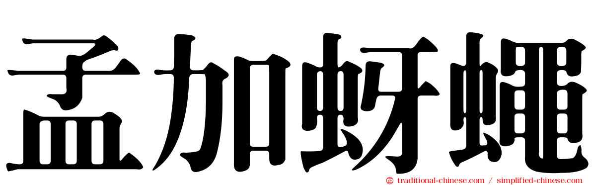 孟加蚜蠅