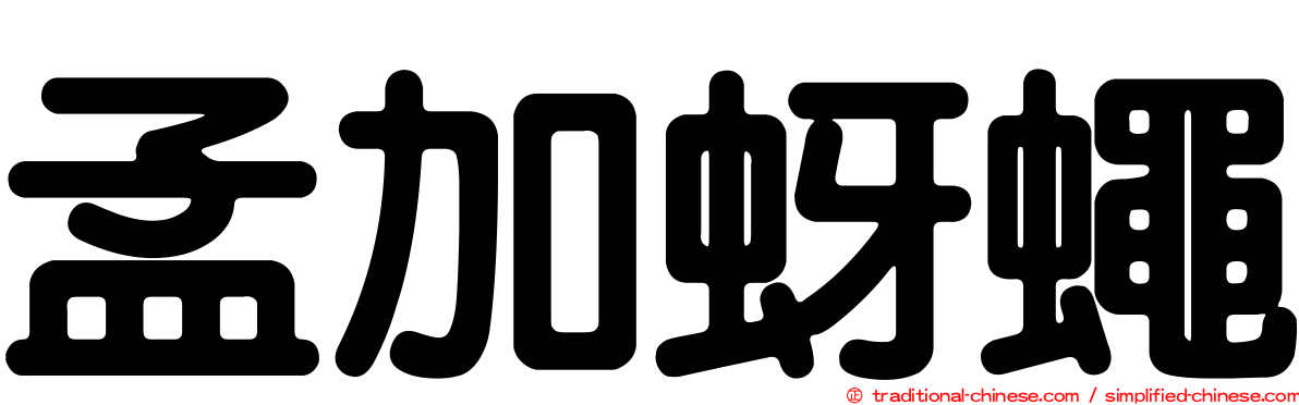 孟加蚜蠅