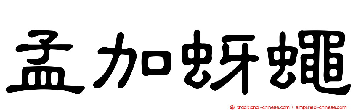 孟加蚜蠅