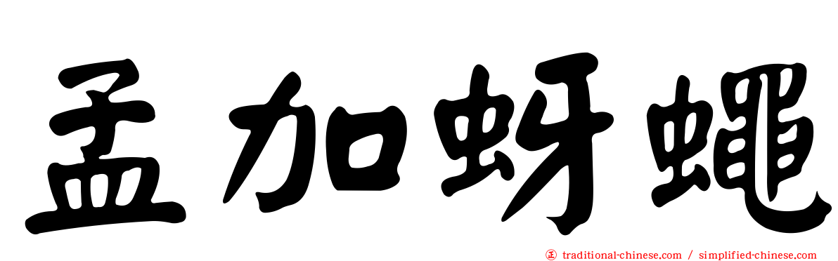 孟加蚜蠅