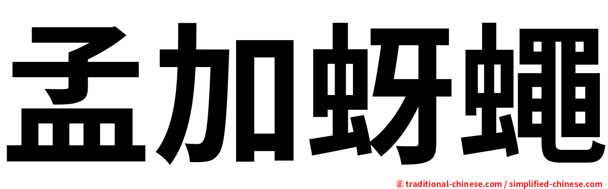 孟加蚜蠅