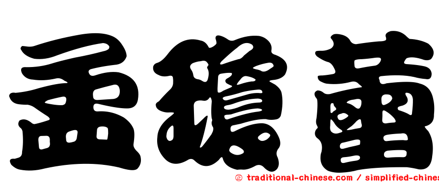 孟瓊蕾