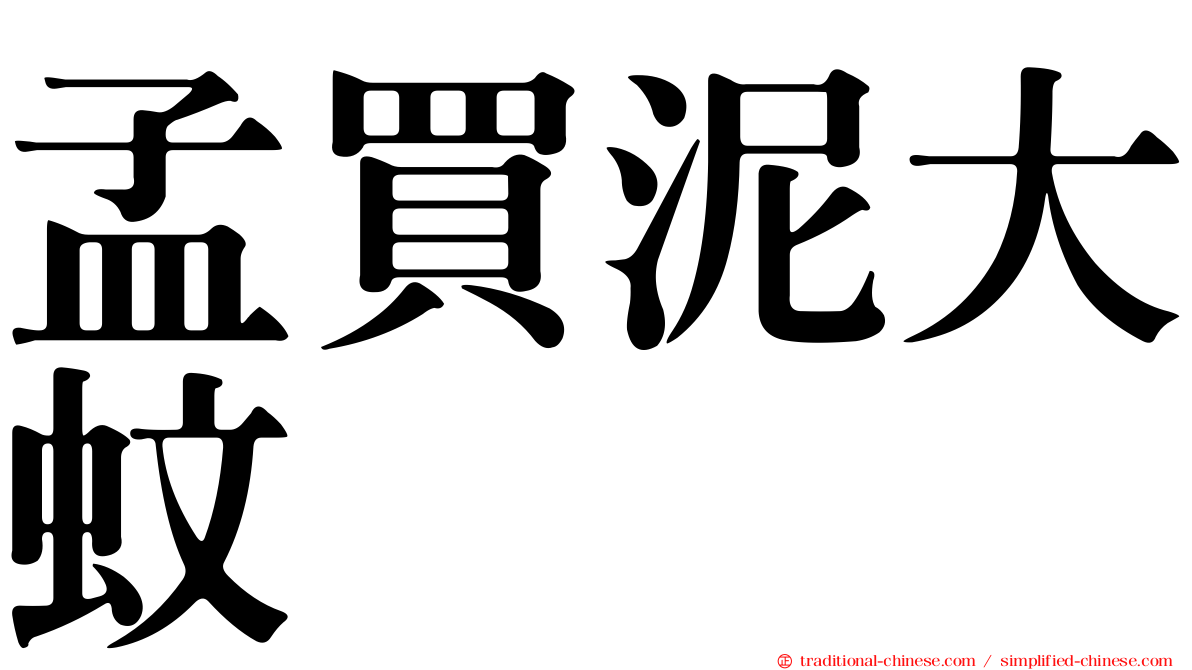 孟買泥大蚊