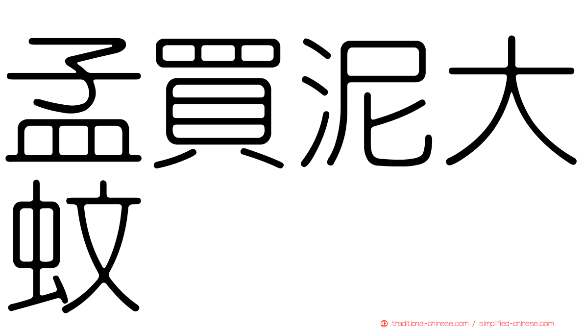孟買泥大蚊
