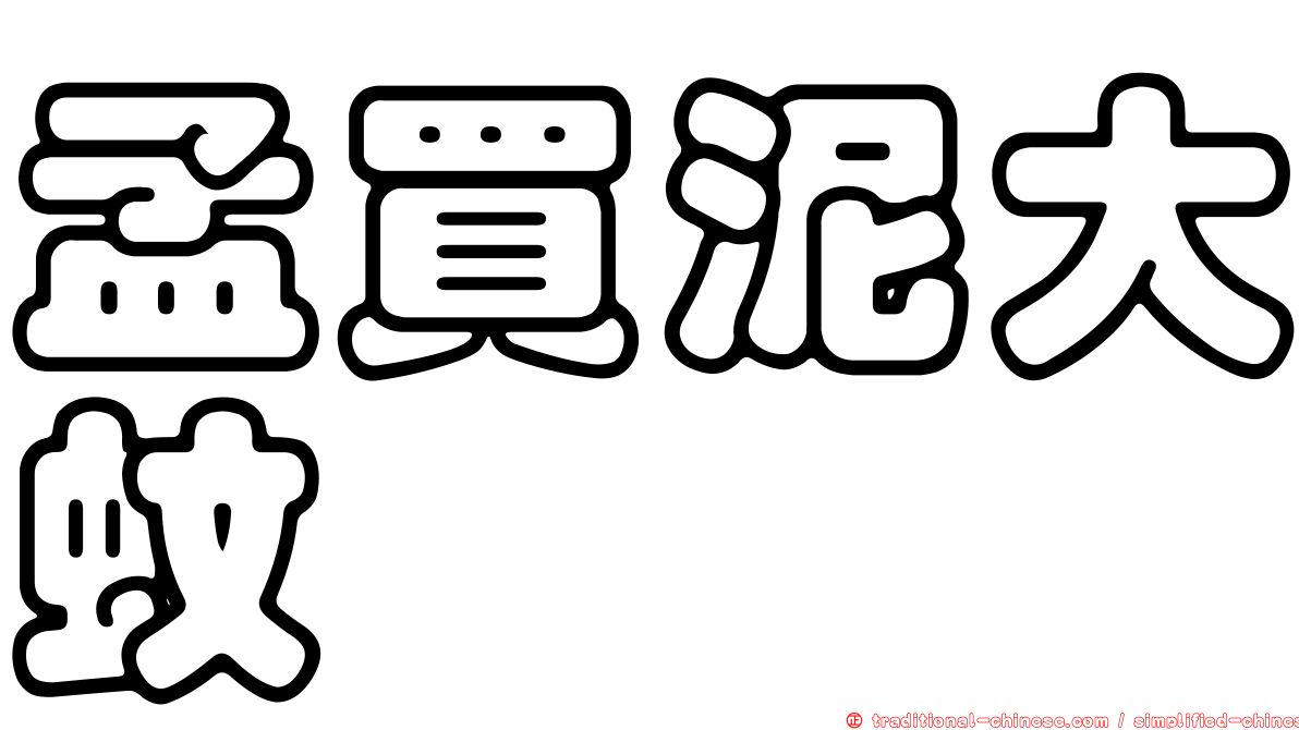 孟買泥大蚊