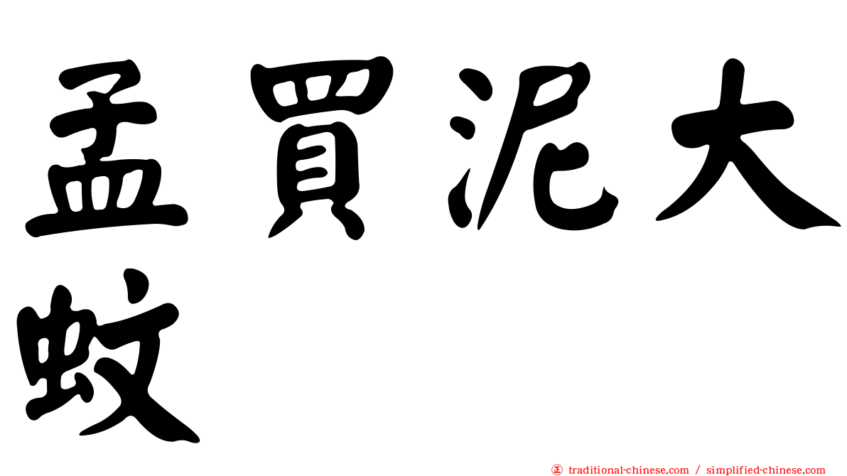 孟買泥大蚊