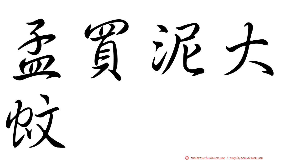 孟買泥大蚊