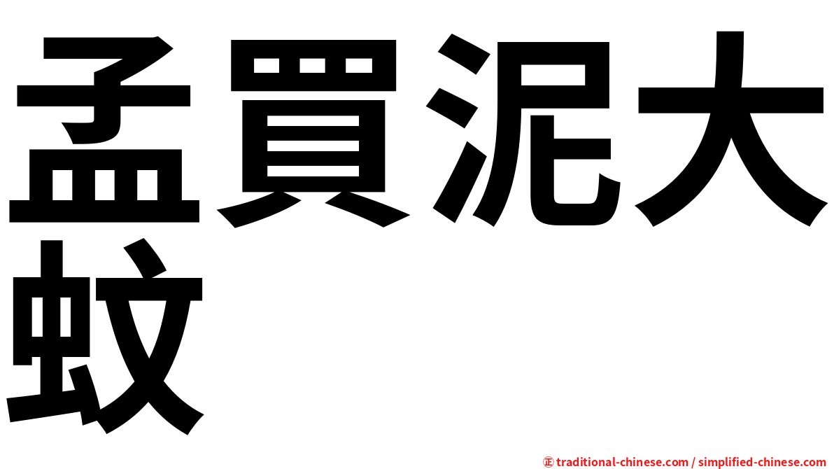 孟買泥大蚊
