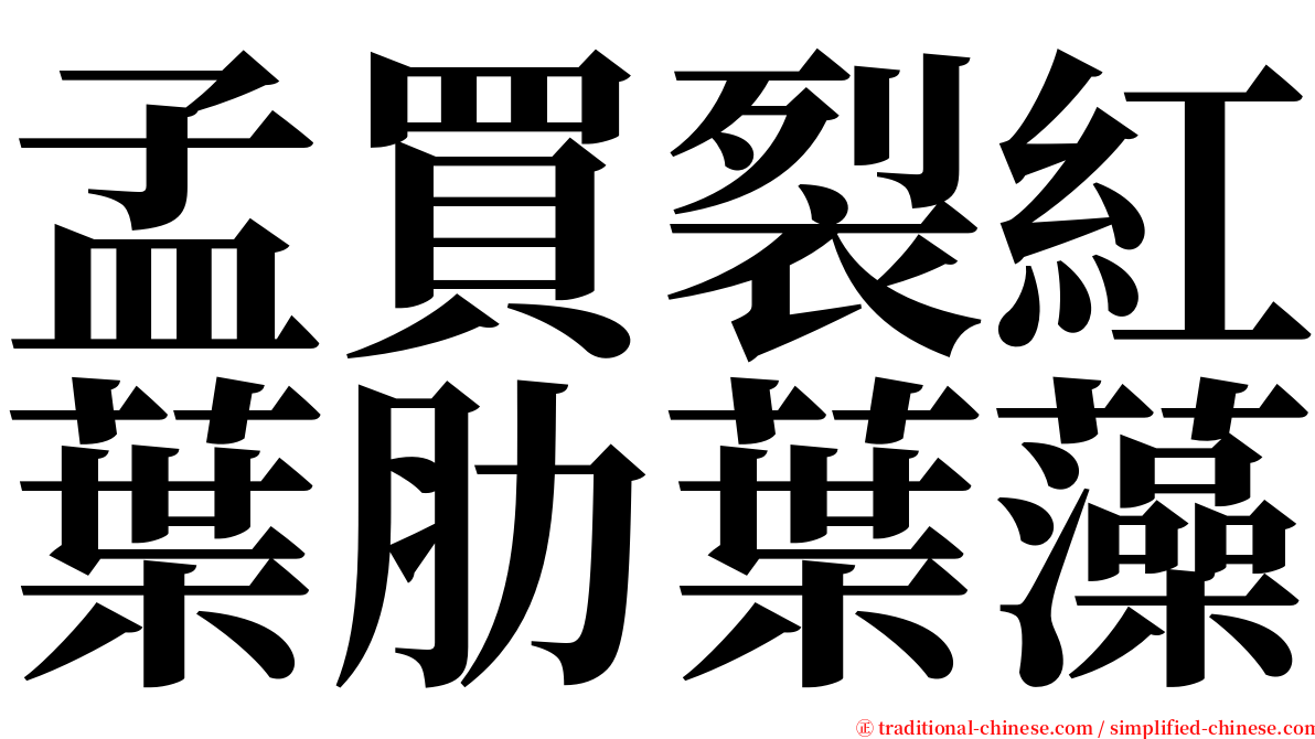 孟買裂紅葉肋葉藻 serif font
