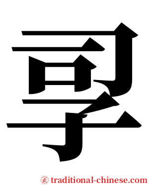 孠 serif font