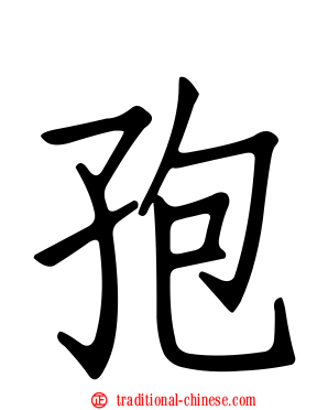 孢