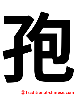 孢