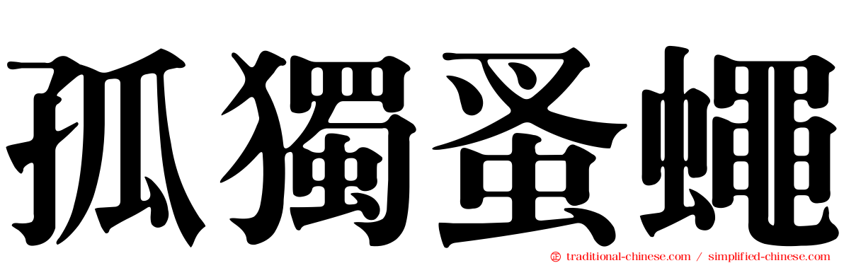 孤獨蚤蠅