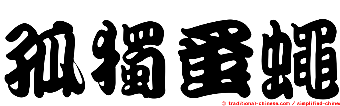孤獨蚤蠅