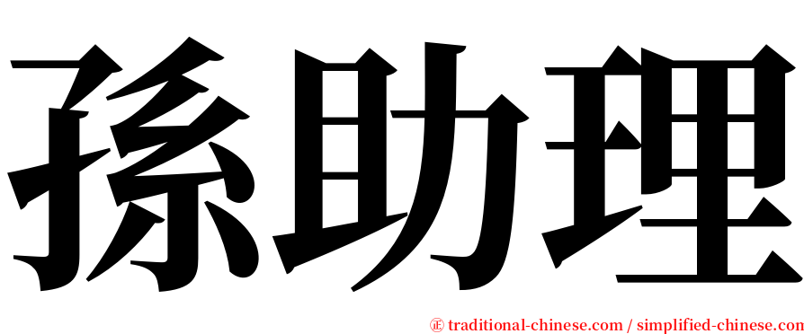 孫助理 serif font