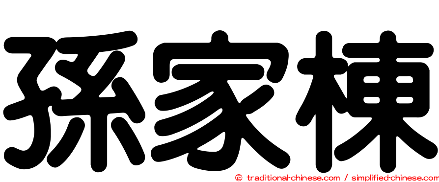 孫家棟