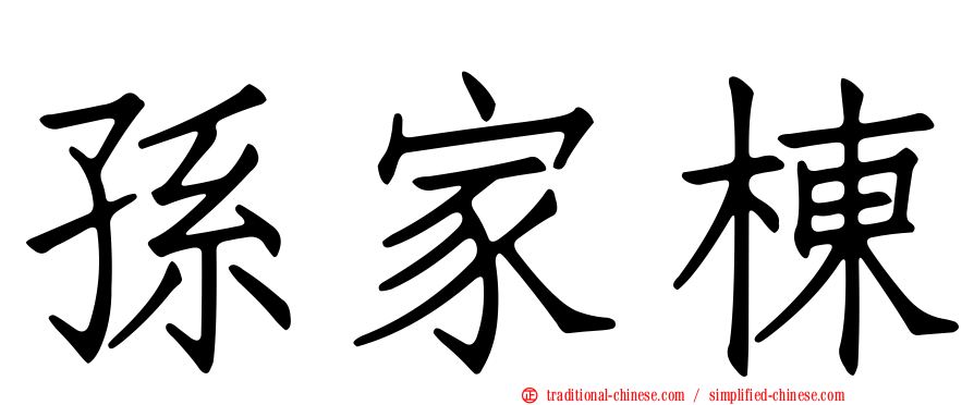 孫家棟