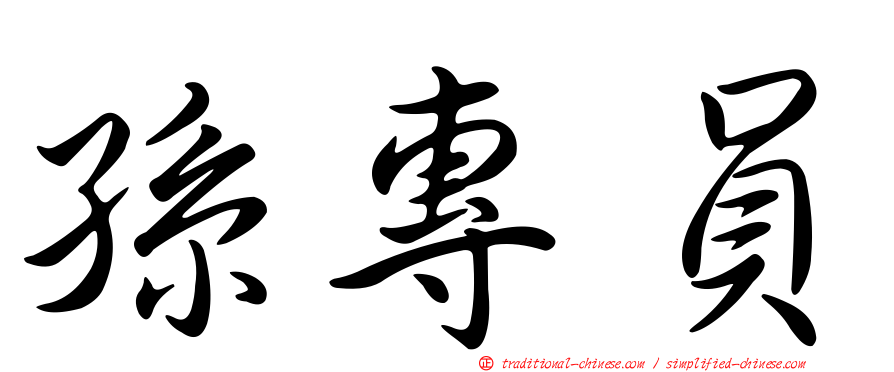 孫專員
