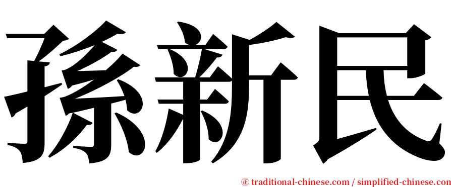 孫新民 serif font