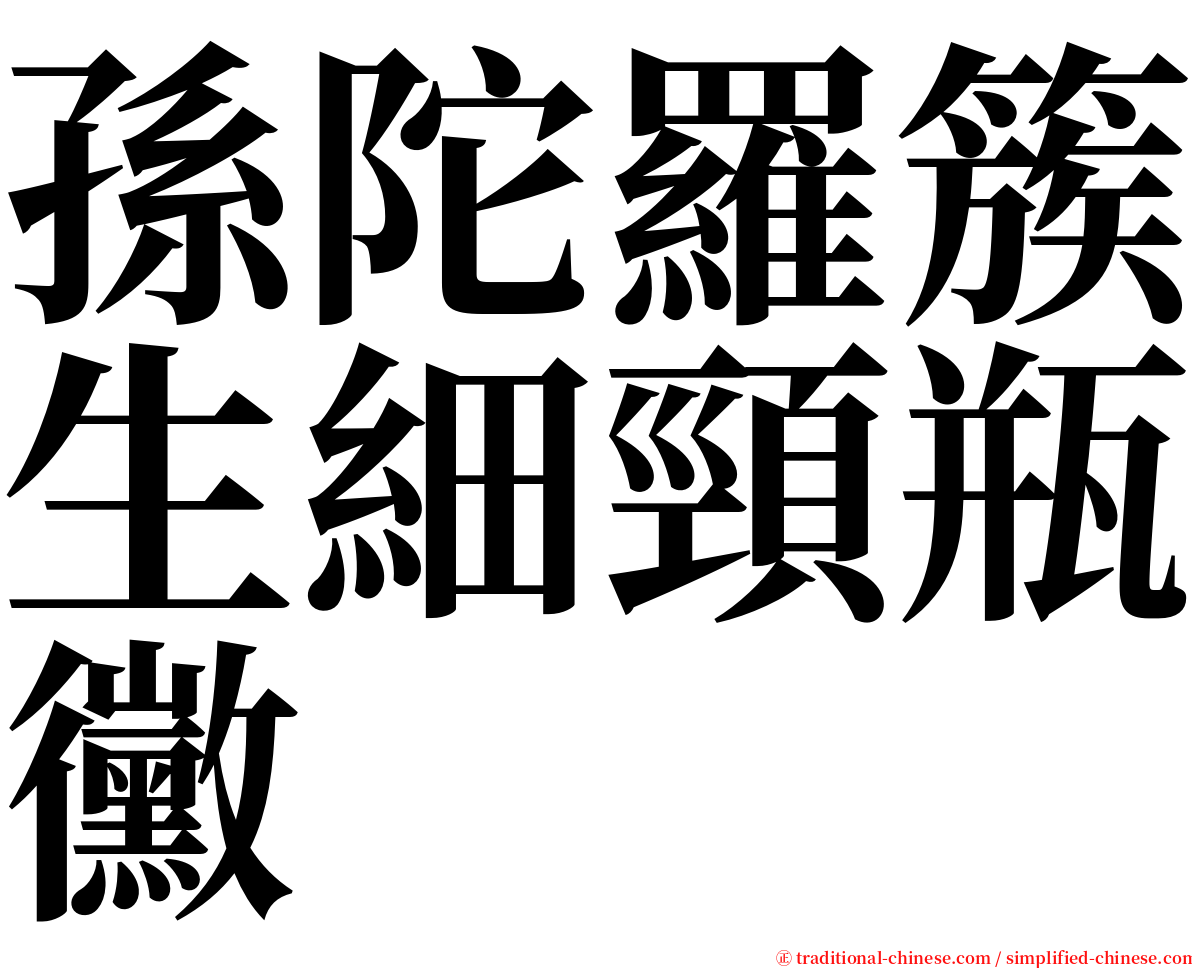 孫陀羅簇生細頸瓶黴 serif font