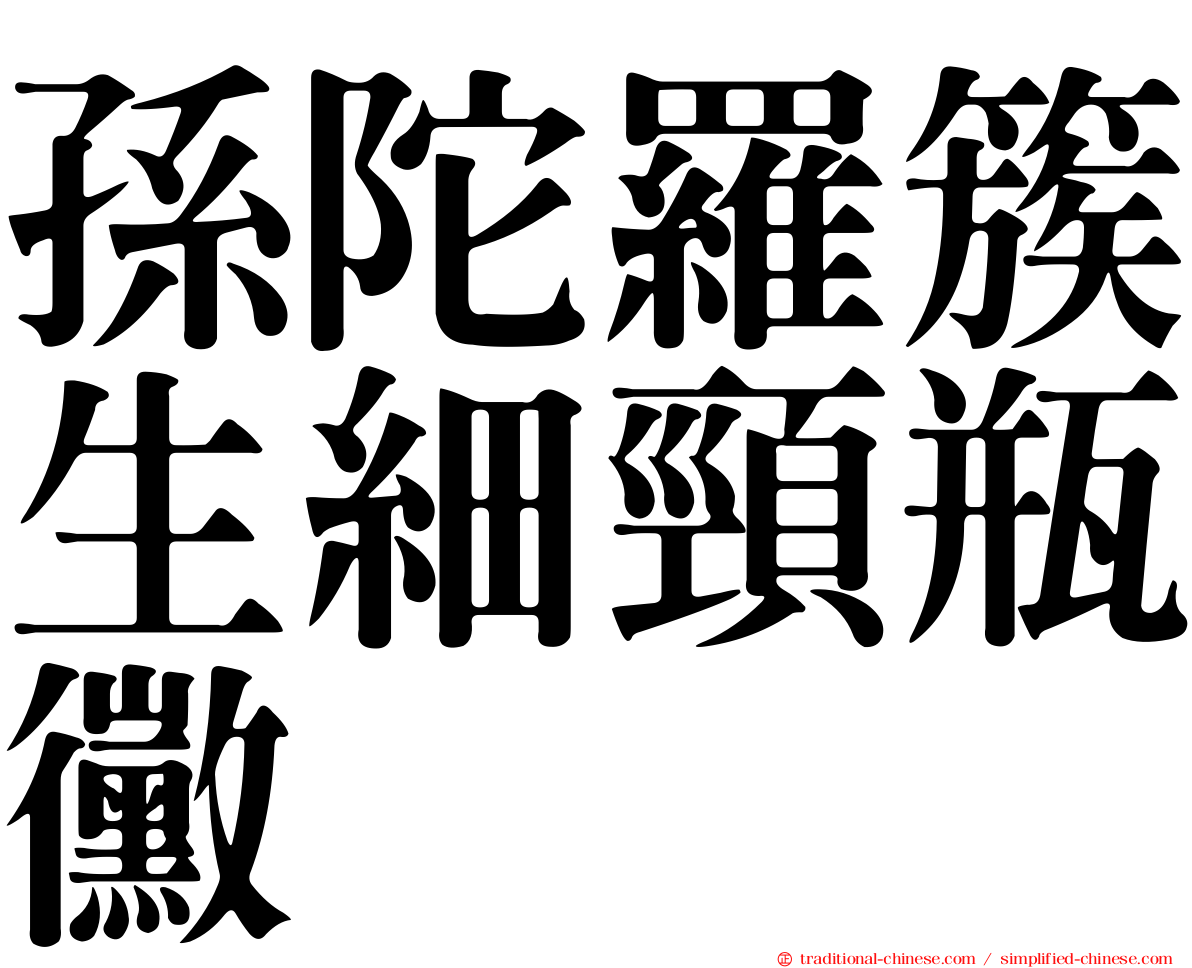 孫陀羅簇生細頸瓶黴