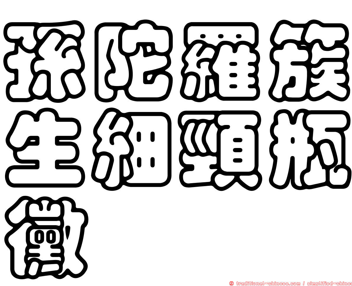 孫陀羅簇生細頸瓶黴