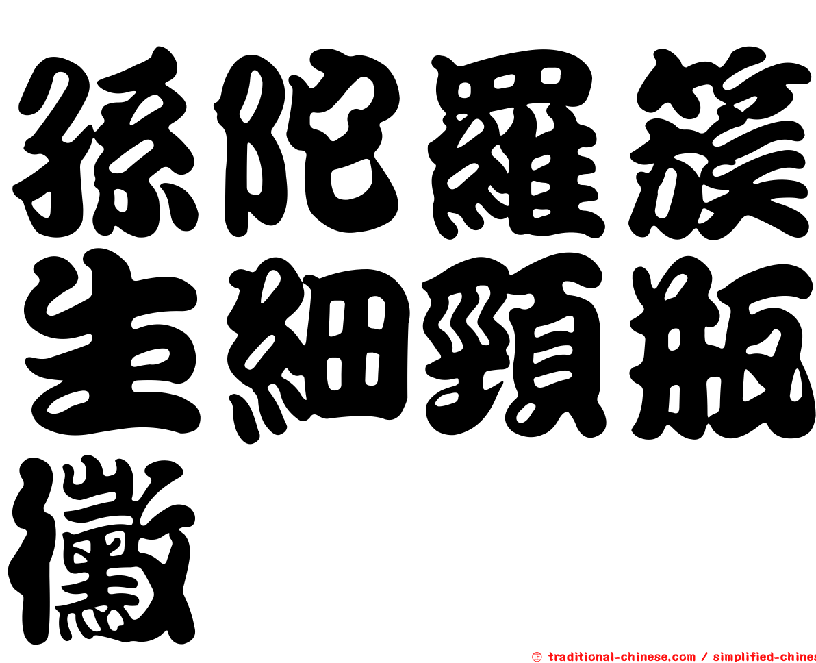 孫陀羅簇生細頸瓶黴