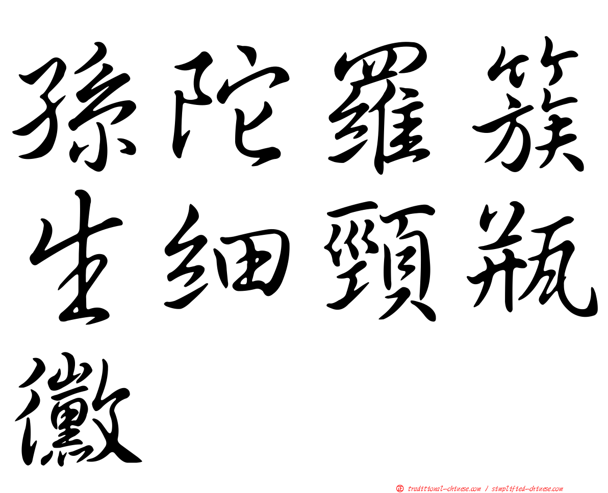 孫陀羅簇生細頸瓶黴