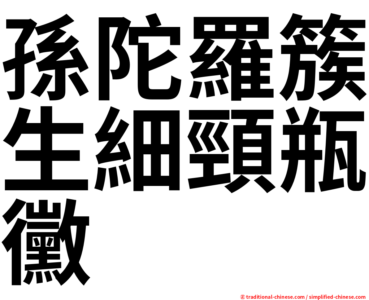 孫陀羅簇生細頸瓶黴