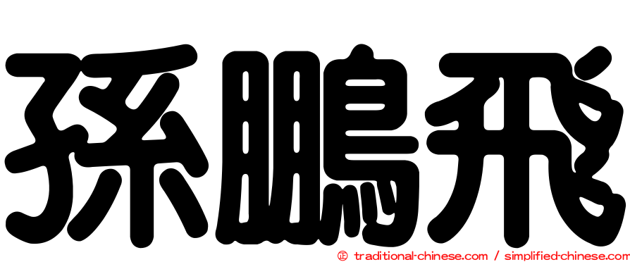 孫鵬飛