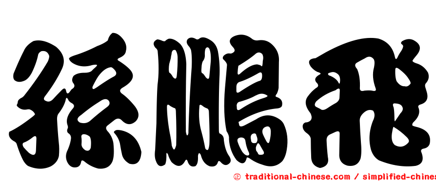 孫鵬飛