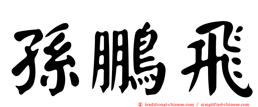 孫鵬飛