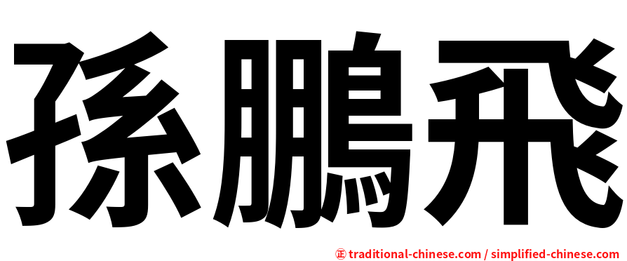 孫鵬飛