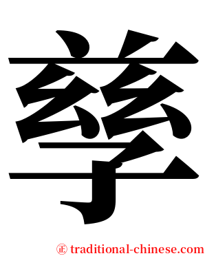 孳 serif font